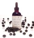 Pure Inventions Blueberry with White Tea