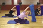 Pain Free Pilates with �Stretch-ease��, The Ultima